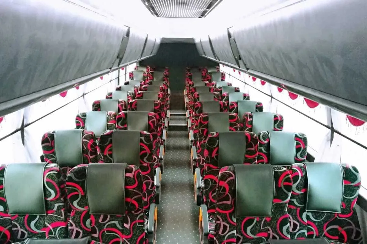 Bus photo 3